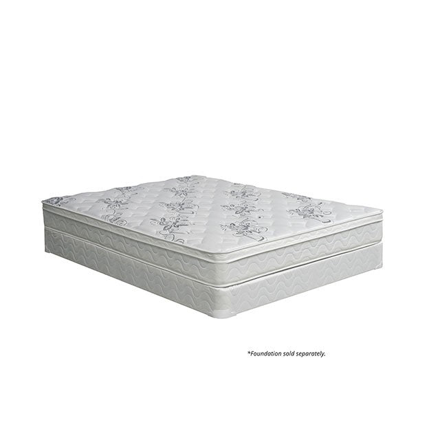 JALEN White 9" Euro Top Mattress, Queen - My Sweet Home Furniture (Queens, NY)