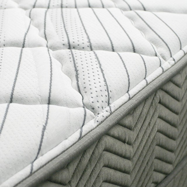 EDREA White/Gray 10" Tight Top Pocket Coil, Queen - My Sweet Home Furniture (Queens, NY)