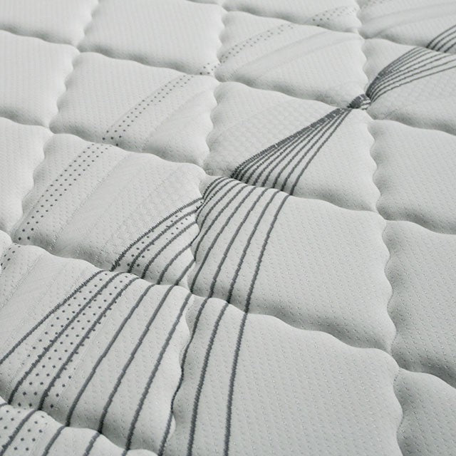 EDREA White/Gray 10" Tight Top Pocket Coil, Queen - My Sweet Home Furniture (Queens, NY)