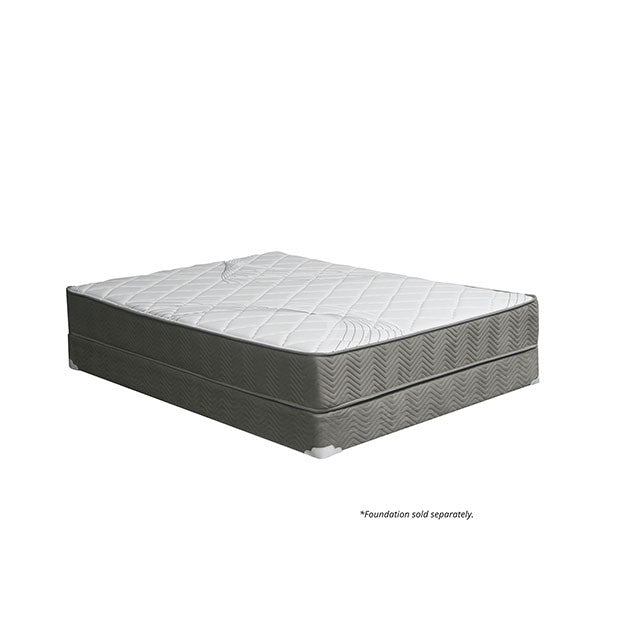 EDREA White/Gray 10" Tight Top Pocket Coil, Queen - My Sweet Home Furniture (Queens, NY)