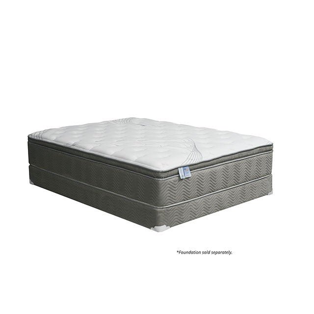 STORMIN White/Gray 13" Euro Pillow Top Mattress, Queen - My Sweet Home Furniture (Queens, NY)