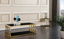 Leah Modern Style Marble Coffee Table with Metal Base