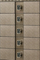 Coral Contemporary Style Chest in Bronze finish Wood