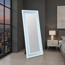 Solinus Floor Mirror - My Sweet Home Furniture (Queens, NY)