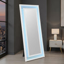 Solinus Floor Mirror - My Sweet Home Furniture (Queens, NY)