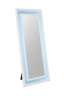 Solinus Floor Mirror - My Sweet Home Furniture (Queens, NY)