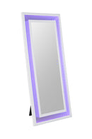 Solinus Floor Mirror - My Sweet Home Furniture (Queens, NY)