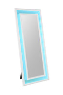 Solinus Floor Mirror - My Sweet Home Furniture (Queens, NY)
