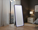 Kiley Floor Mirror - My Sweet Home Furniture (Queens, NY)