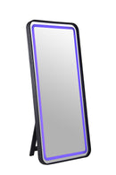 Kiley Floor Mirror - My Sweet Home Furniture (Queens, NY)