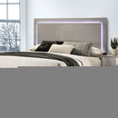 Sinistra Queen Bedroom Set - My Sweet Home Furniture (Queens, NY)