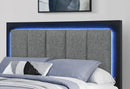 EMMA BLACK/GREY FULL BED WITH LED AND USB - My Sweet Home Furniture (Queens, NY)